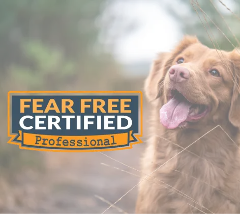 Fear free logo with dog